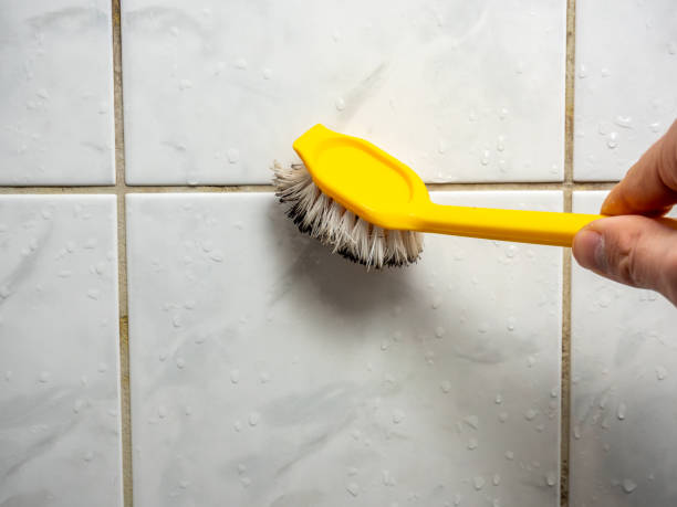 Best Residential Mold Removal  in Somerset, KY